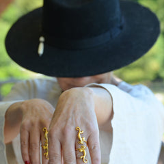 Anillo Panini