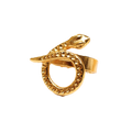 Anillo Serpente