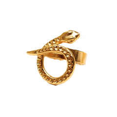 Anillo Serpente