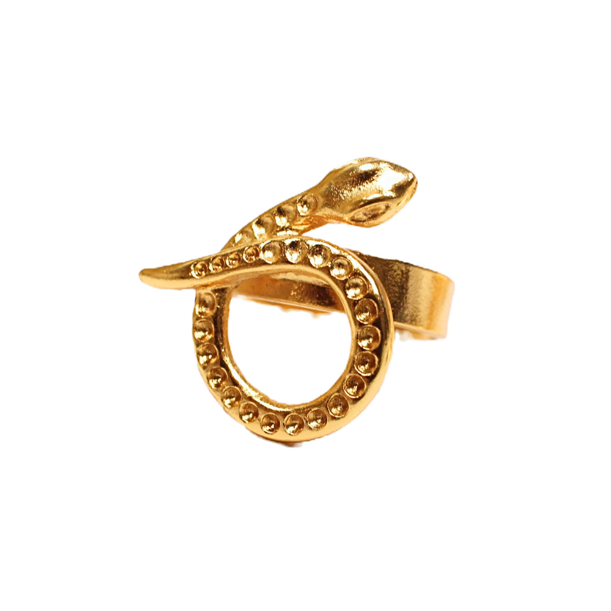Anillo Serpente