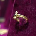 Anillo Heraldico
