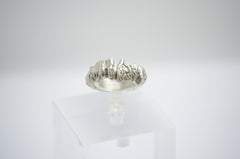 Anillo Camino