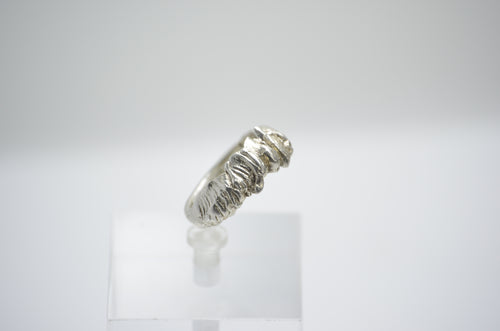 Anillo Camino