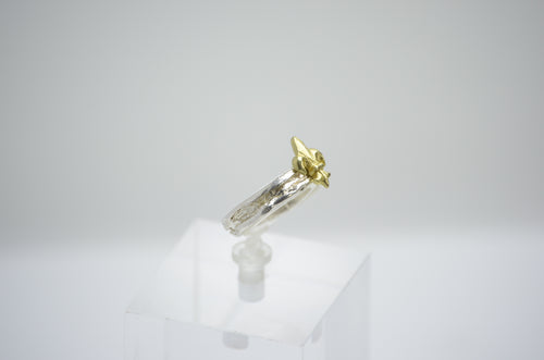 Anillo Flor de Lis