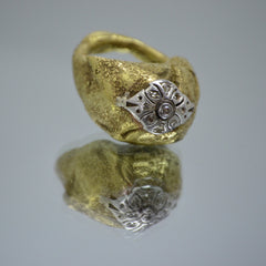 Anillo Petra