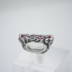 Anillo Raíces