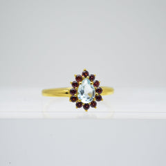 Anillo Rodolita