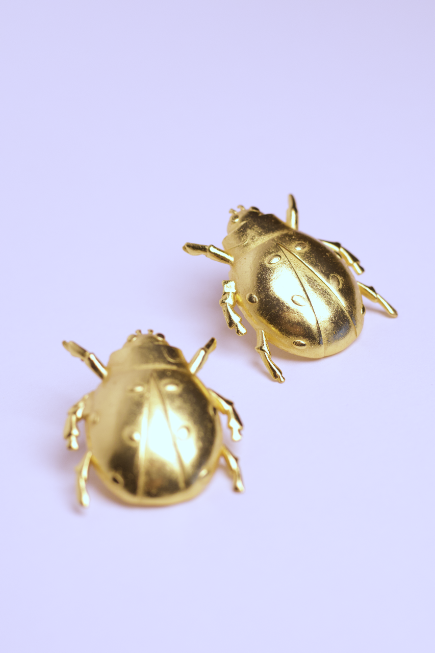 Aros chinita
