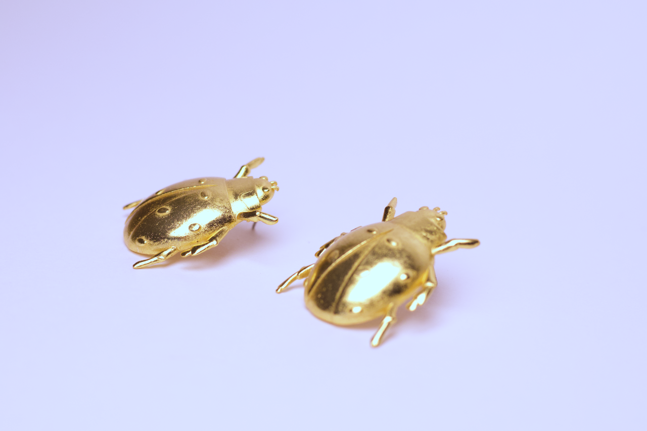 Aros chinita